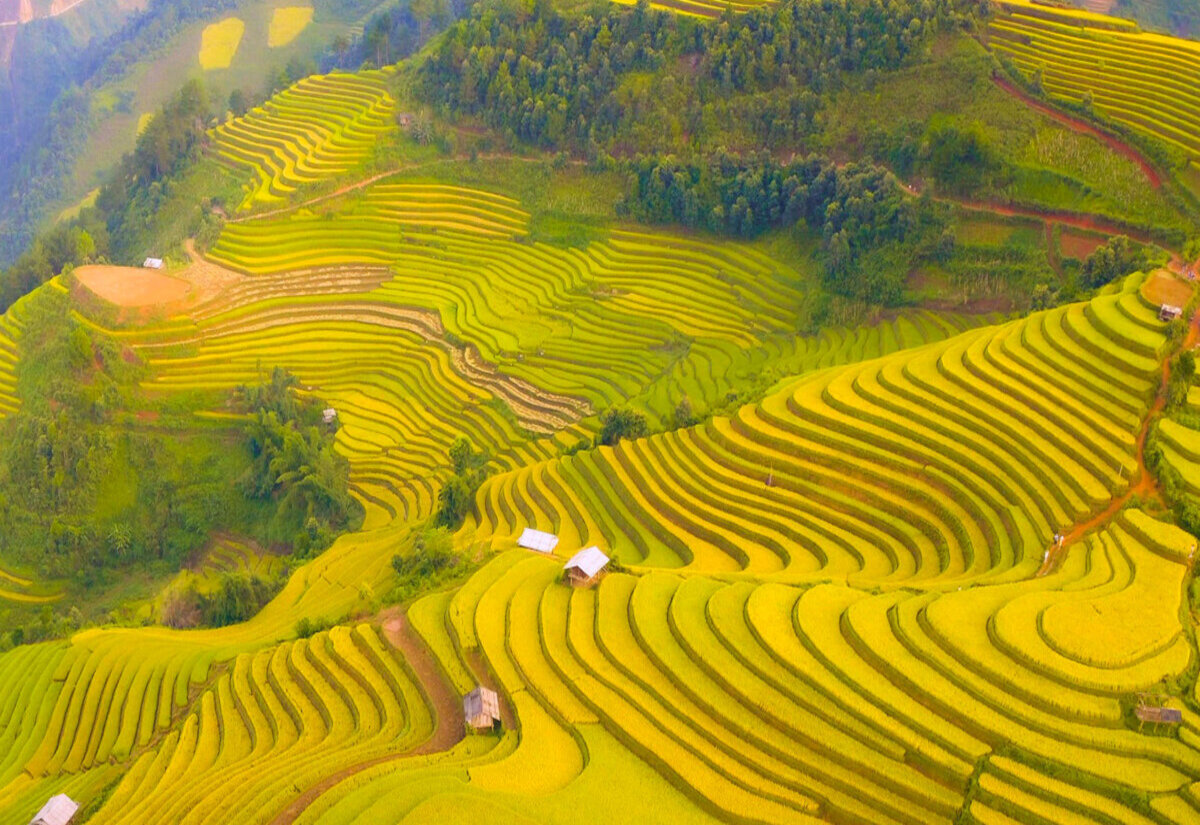 HÀ NỘI  – MÙ CANG CHẢI – HÀ NỘI