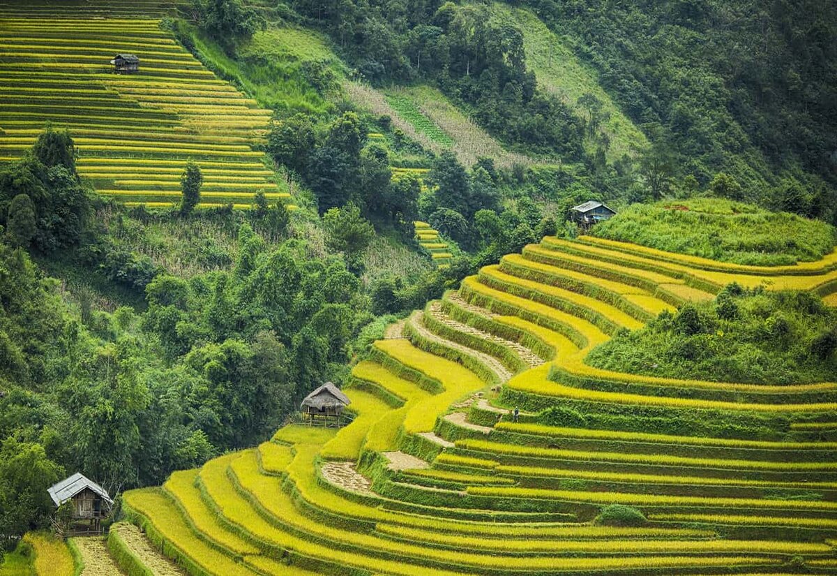 HÀ NỘI - SAPA - HÀ NỘI