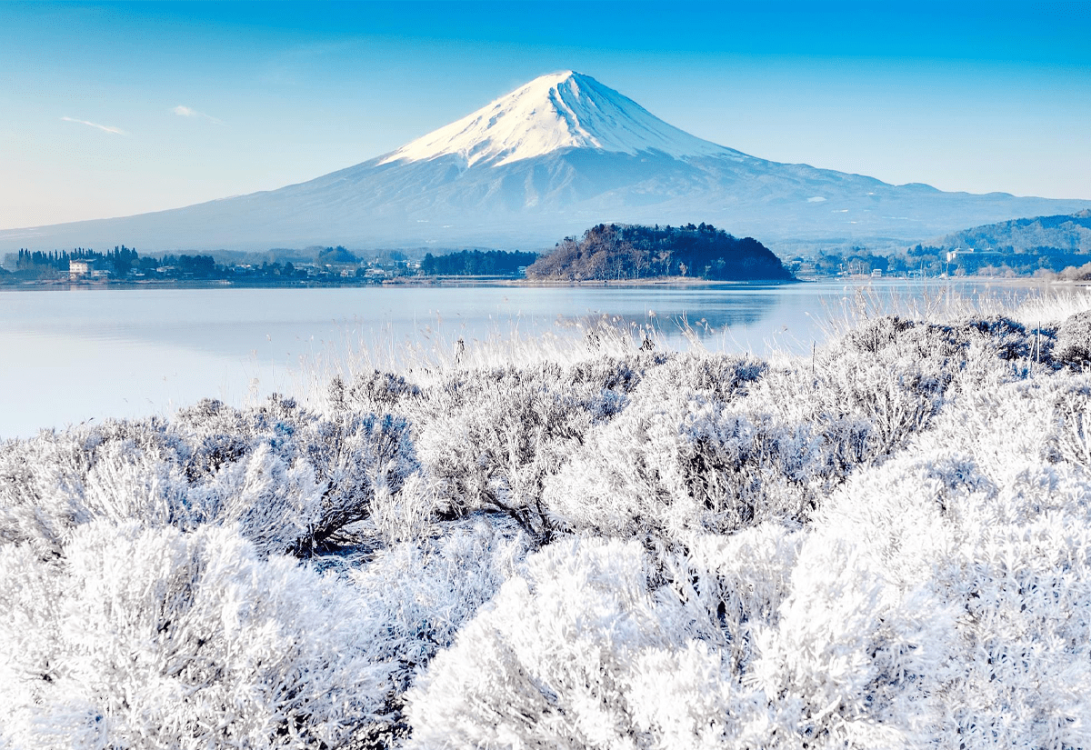 NHẬT BẢN: NARITA - TOKYO - NÚI PHÚ SĨ - NAGOYA - KYOTO - OSAKA